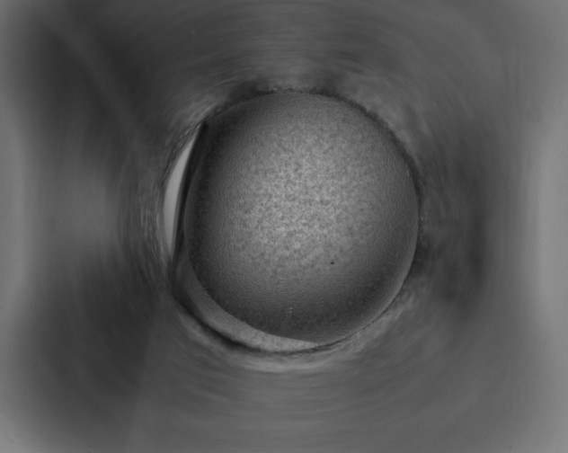 X0000088230017200705151502