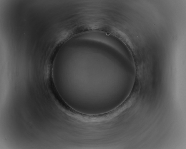 X0000088230018200705151502