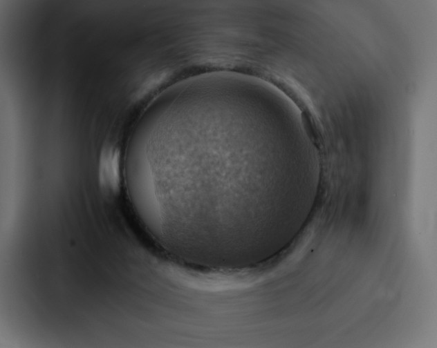X0000088230020200705151502