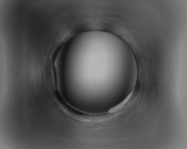 X0000088230021200705151502