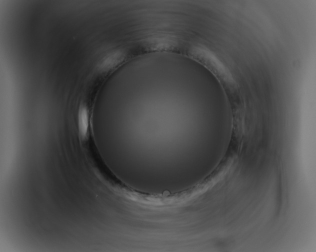 X0000088230022200705151502