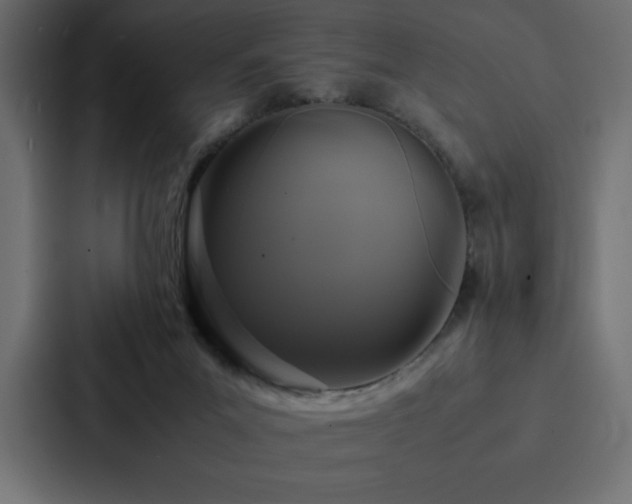 X0000088230023200705151502