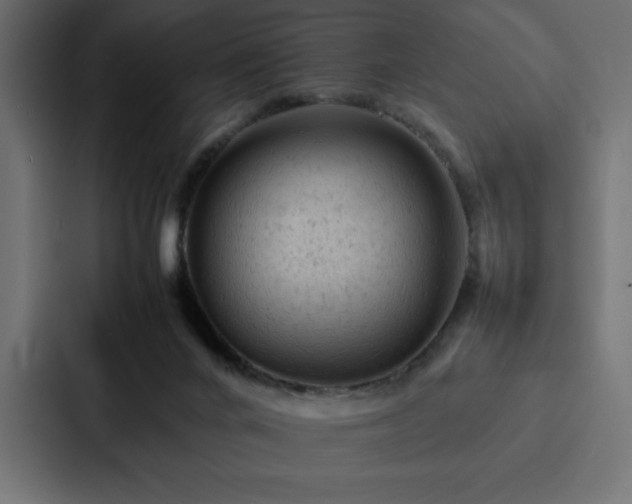 X0000088230024200705151502