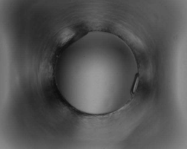X0000088230025200705151502