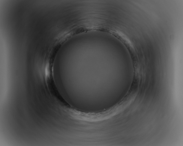 X0000088230026200705151502