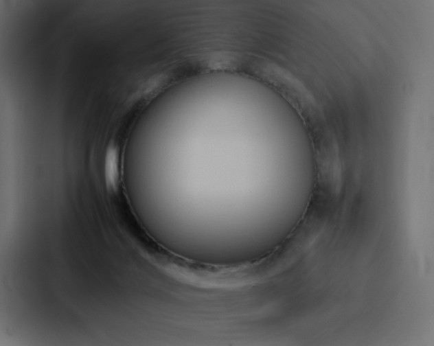 X0000088230028200705151502