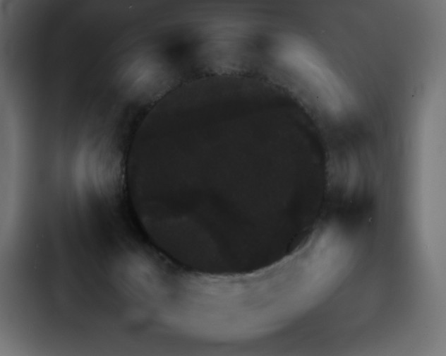 X0000088230029200705151502