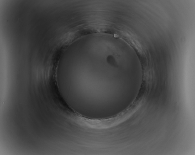 X0000088230030200705151502