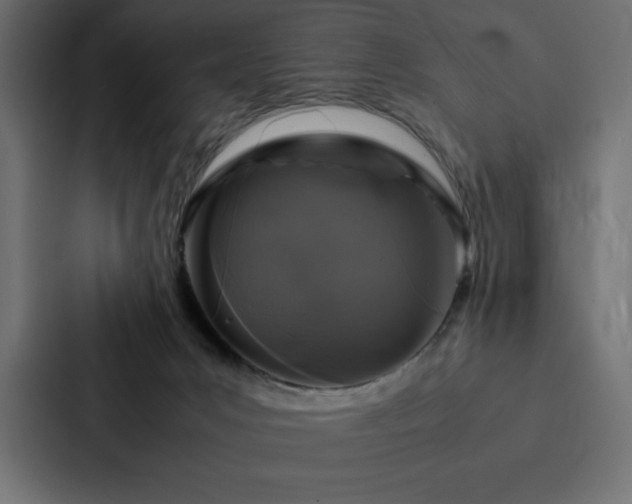 X0000088230031200705151502