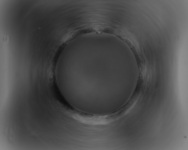 X0000088230032200705151501