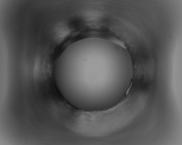 X0000088230033200705151501