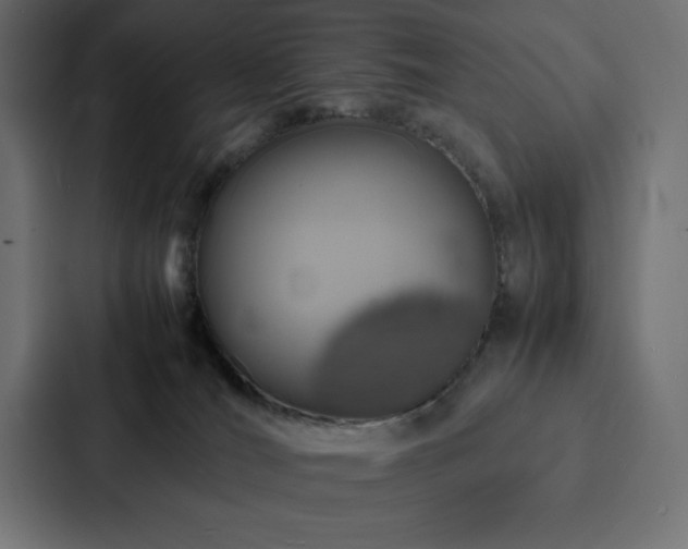 X0000088230036200705151501