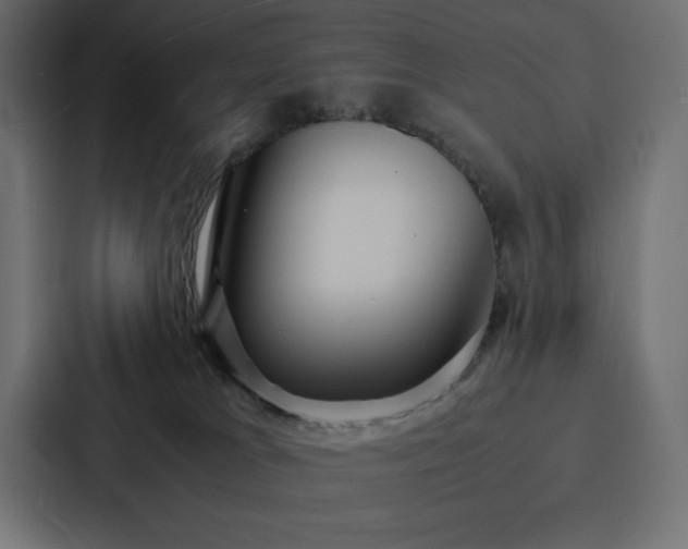 X0000088230037200705151501