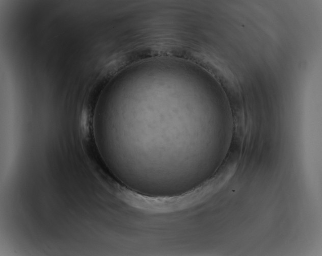X0000088230038200705151501