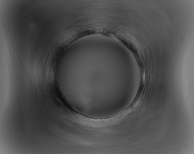 X0000088230039200705151501