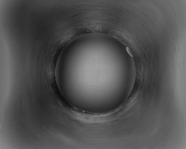 X0000088230040200705151501