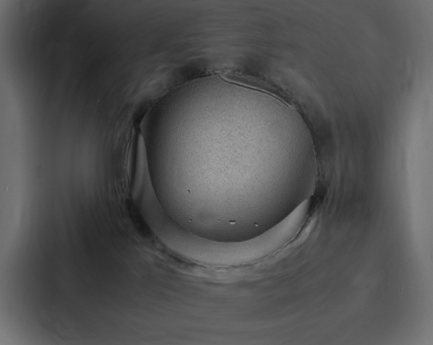 X0000088230041200705151501