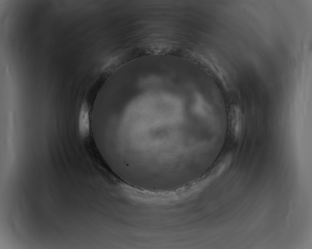 X0000088230042200705151501