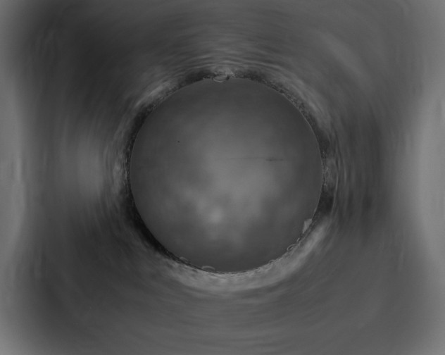 X0000088230043200705151501