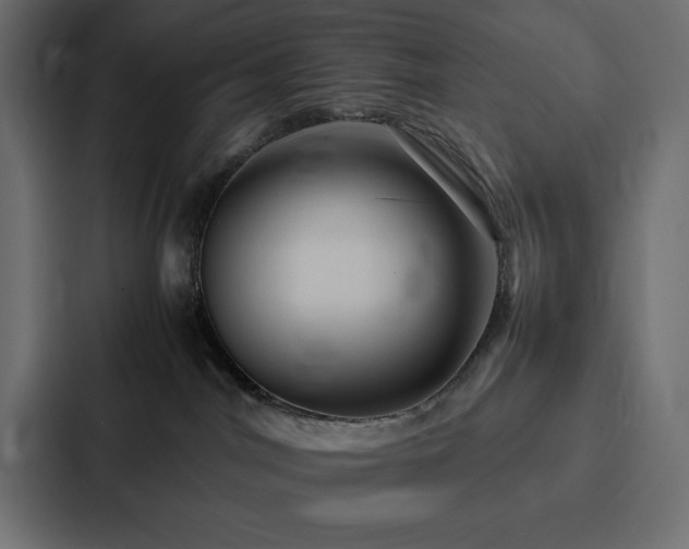 X0000088230044200705151501