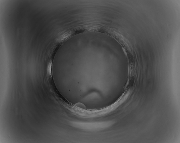X0000088230047200705151501