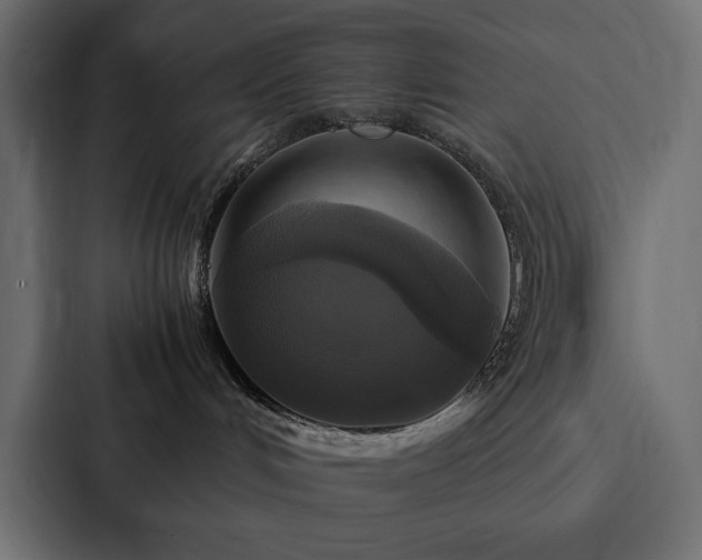 X0000088230048200705151501