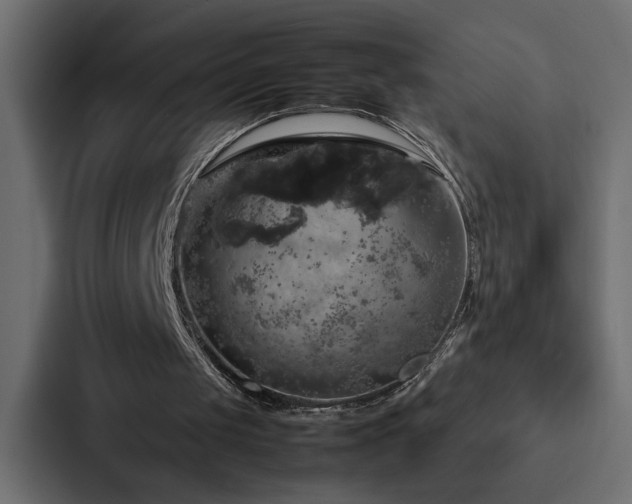 X0000088230049200705151501