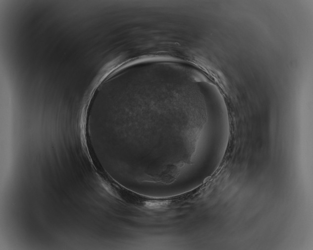 X0000088230051200705151501