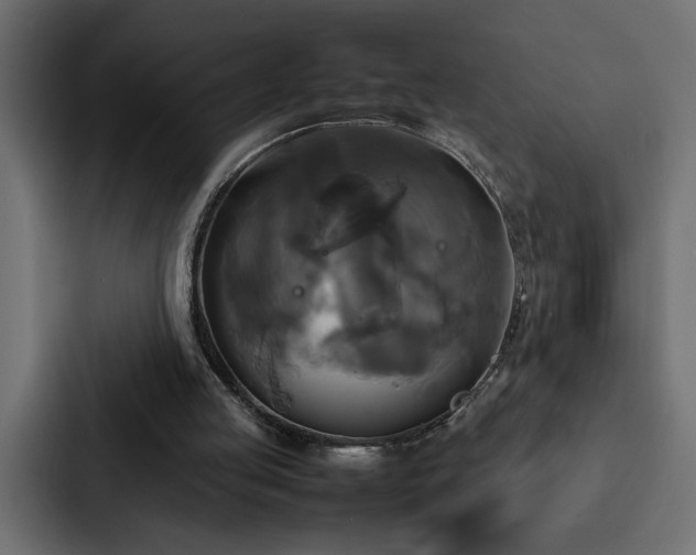 X0000088230053200705151501