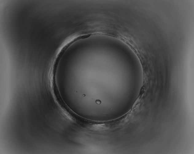 X0000088230054200705151501