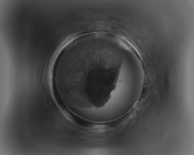 X0000088230055200705151501