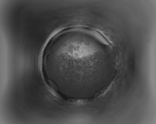 X0000088230056200705151501