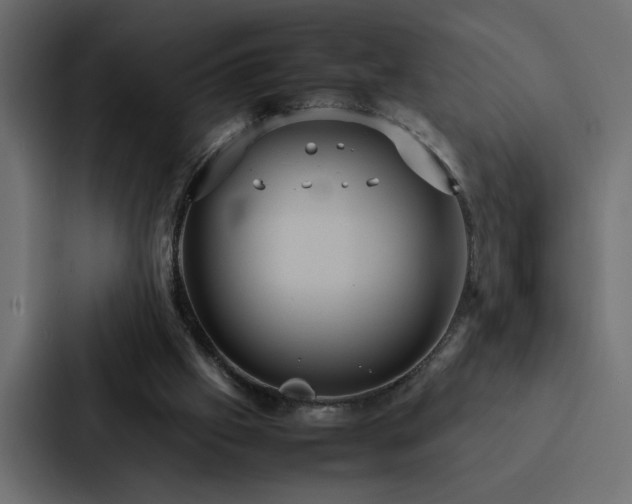 X0000088230057200705151501