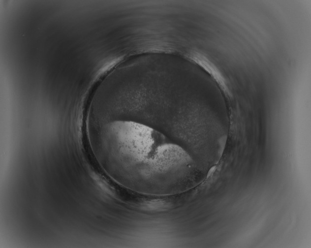 X0000088230058200705151501