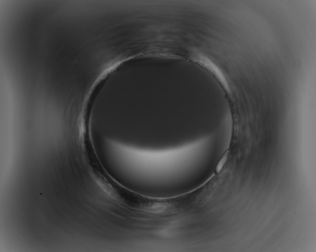 X0000088230059200705151501