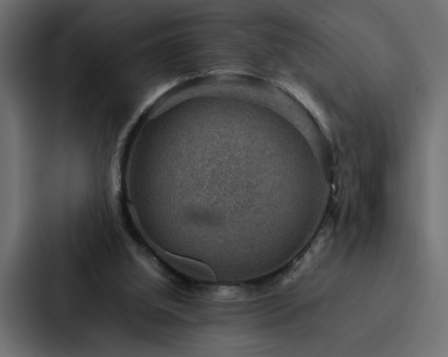 X0000088230060200705151501