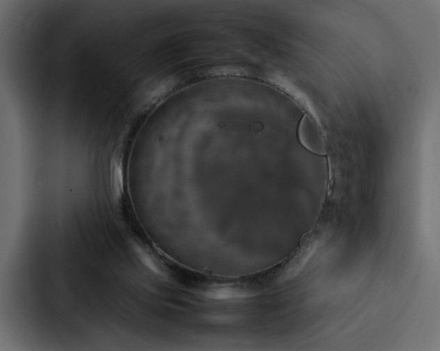 X0000088230061200705151501