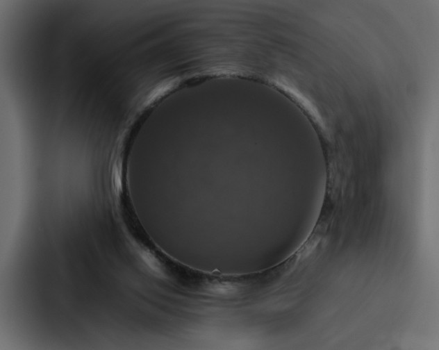 X0000088230062200705151501
