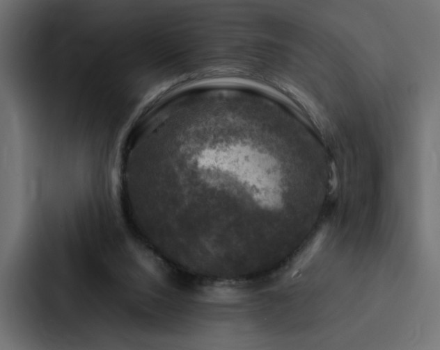 X0000088230064200705151501