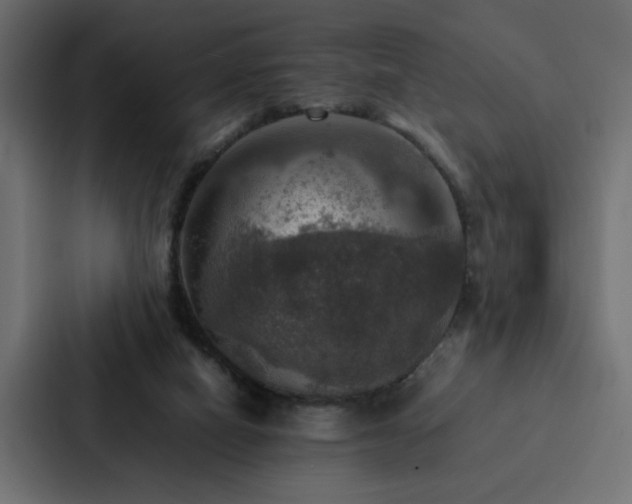 X0000088230066200705151501