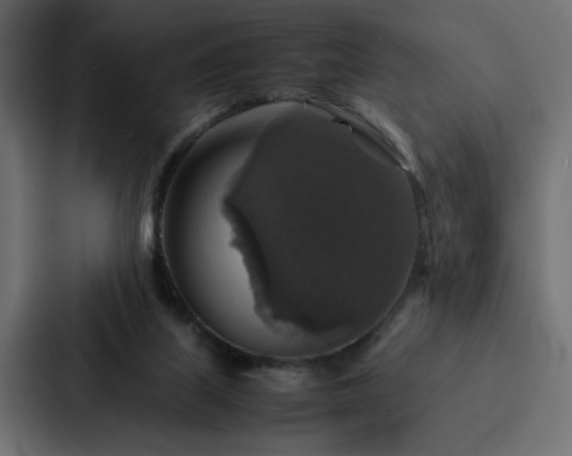 X0000088230067200705151501