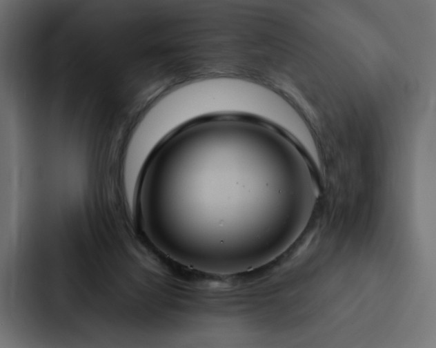X0000088230068200705151501