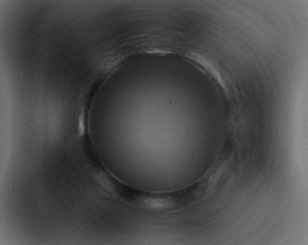 X0000088230069200705151501