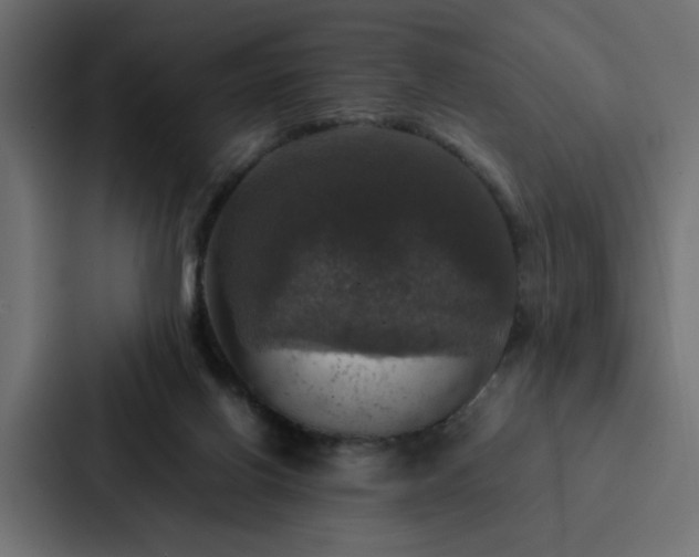 X0000088230070200705151501