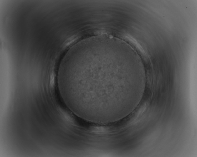 X0000088230071200705151501
