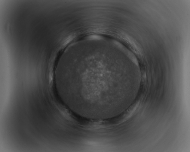 X0000088230072200705151501