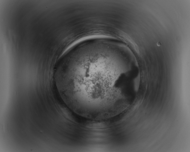 X0000088230073200705151501