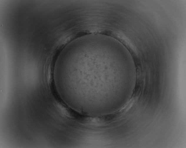 X0000088230074200705151501