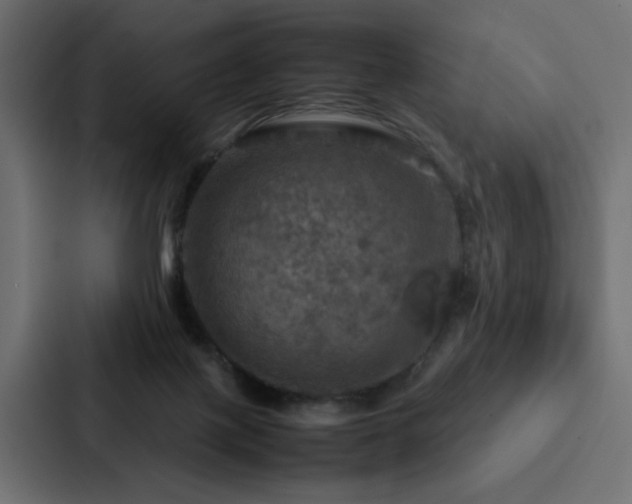X0000088230075200705151501