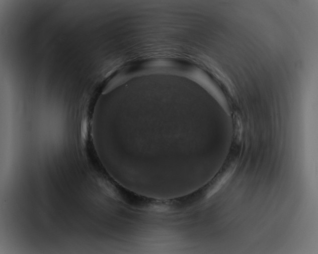 X0000088230076200705151501